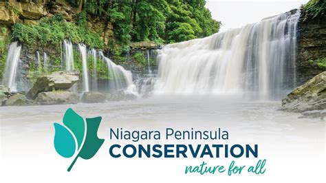 Image result for NPCA Learning Lab