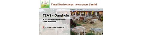 TEAS - Gaushala, A home for Stray Cow & Cattle - Give Fundraisers