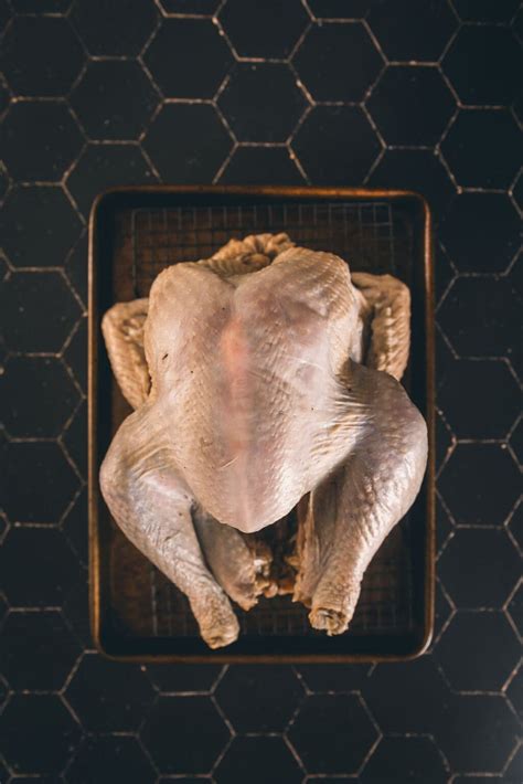 How to Thaw Frozen Turkey - Girl Carnivore