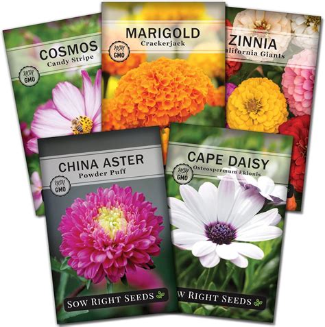 Sow Right Seeds - Flower Seed Garden Collection for India | Ubuy