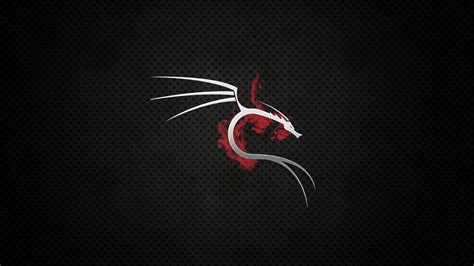 Image result for Kali Linux Background HD