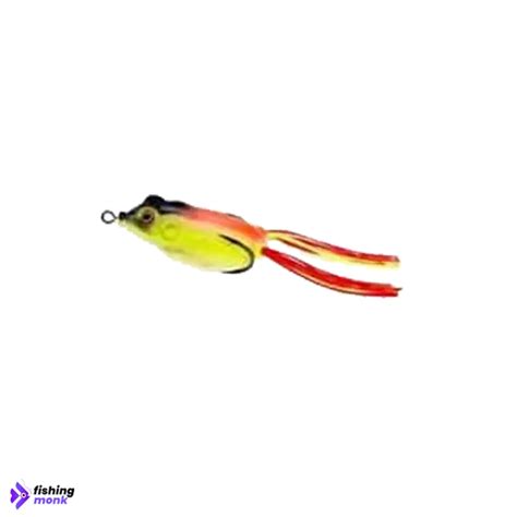 Buy Fishing Gear Online India | Top Brands | Fast Shipping – Fishingmonk