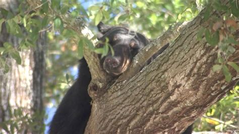 Doctor accused of inappropriate touching at East Side Urgent Care in ...