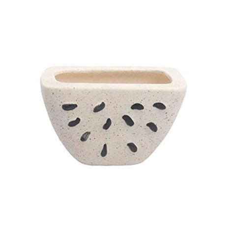UGAOO Watermelon Ceramic Planter - Bare White