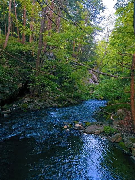 Tymor Park Loop - New York | AllTrails