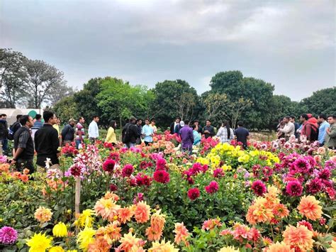 Dr YS Parmar University of Horticulture & Forestry