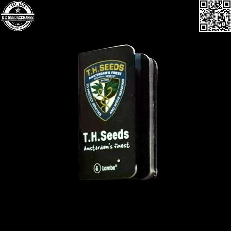Lambo Seeds Auction: T.H. Seeds at DC Seed Exchange
