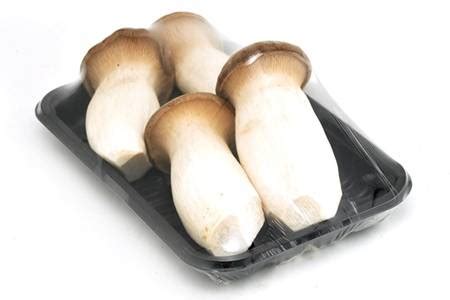 杏鲍菇：一个大写的蘑菇| 果壳 科技有意思
