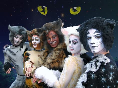 31 "Cats," the musical ideas | cats musical, cats, jellicle cats