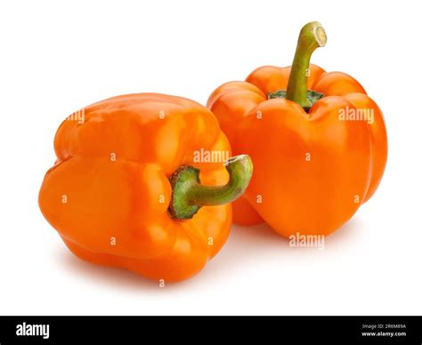 Orange Bell Pepper