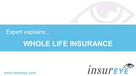 All into Life Insurance 的图像结果
