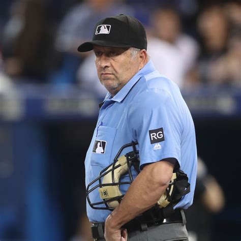 Baseball Umpire 的图像结果