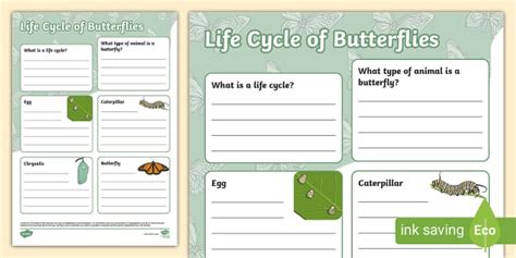 Butterfly Life Cycle Fact File Template (teacher made)