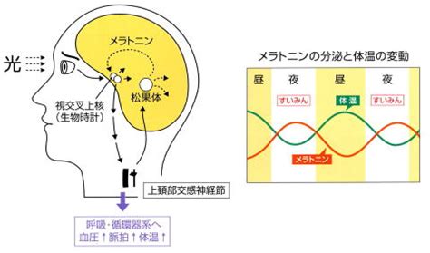 Image result for Iterative Loop SQL