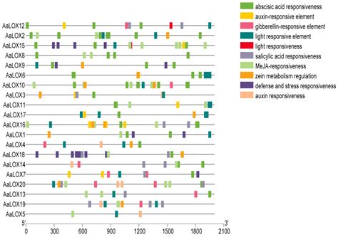 Genome-Wide Identification, Characterization and Expression Analysis of ...