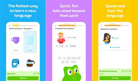 Image result for Language Learning Apps