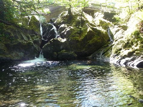 Lake Quinault on the Olympic Peninsula & Iron Creek Campground ...