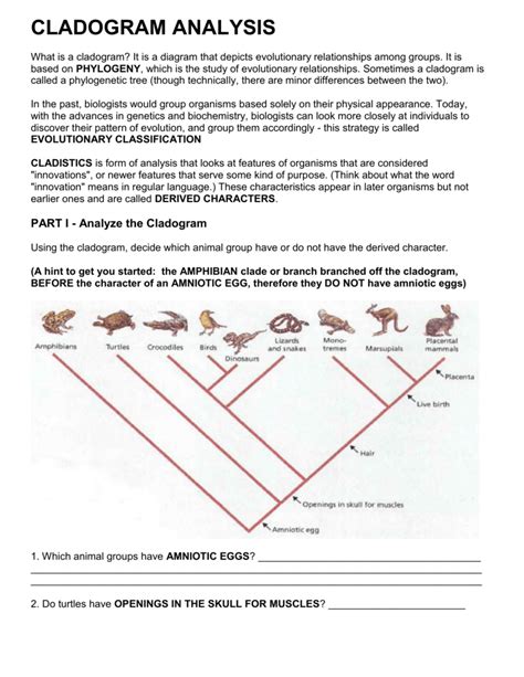 Image result for Science Cladogram