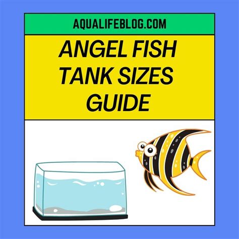 How Many Pea Puffers Per Gallon? (The Right Tank Size!) - Aqualife