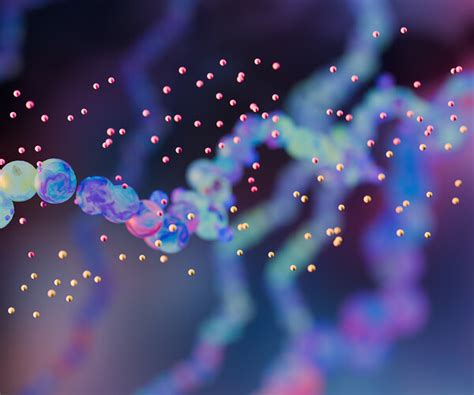 Image result for RNA Structure and Function