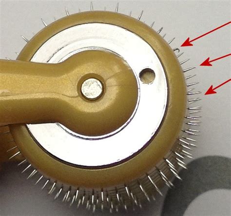 Dead Roller Review 的图像结果