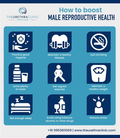 Reproductive System for Men 的图像结果
