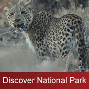 Golestan National Park