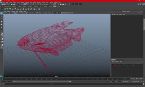 3D model Cobalt Blue Dwarf Gourami Fish | 3D Molier International