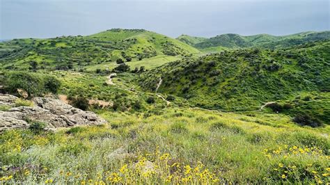 [CLOSED] The Cave of Munits w/ Terry Church {Pharmacy} — Peaks & Professors