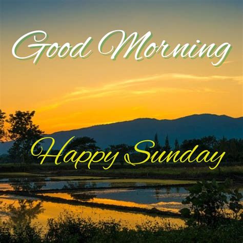 60 + Happy Sunday Good Morning Blessings Images and Quotes