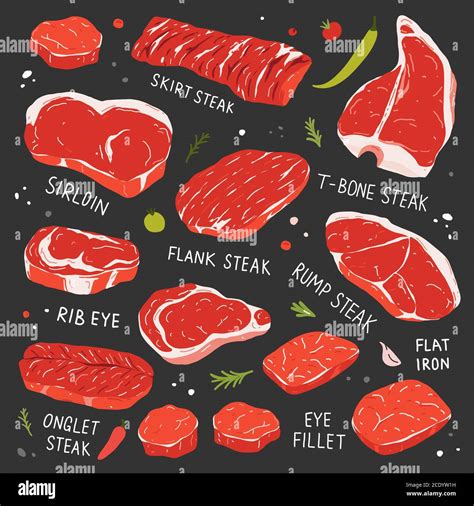 Steak collection, various types of beef steak, realistic illustration ...