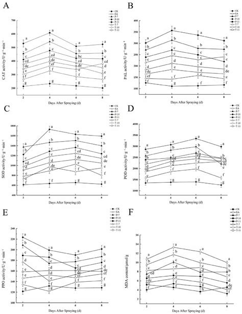 Evaluation of the Efficacy of Three Antagonistic Bacteria Strains in ...