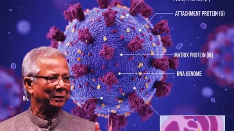 Nipah Virus Bangladesh Patient Dead Who Confirm,बांग्लादेश में निपाह ...