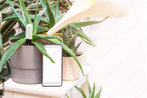 Image result for Flower Pot with Humidity Sensor