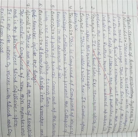 Explain about the structure of respiratory system in detail physical ...