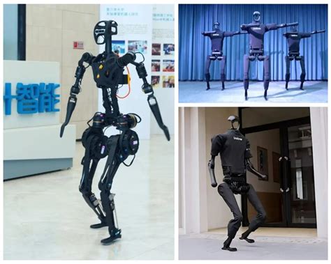 Human Intelligent Robot 的图像结果