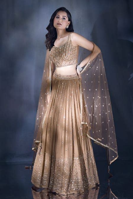 Buy Brown Georgette, Silk, Net Sequins, Mirrors And Embroidered Lehenga ...