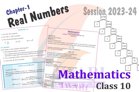 Class 10th Maths Lesson 1 的图像结果