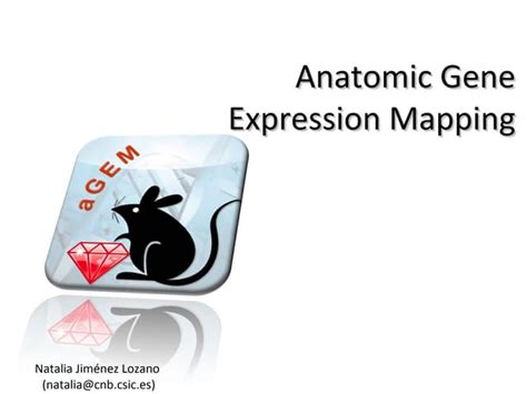 Image result for Anatogram Gene Expression