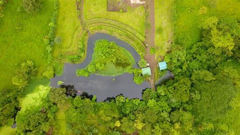 LAGO TORTUGA BIJAGUA (Bijagua de Upala) - Cottage Reviews & Photos ...