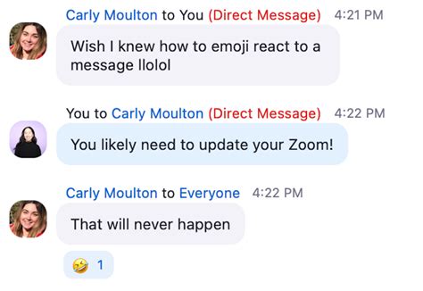 Image result for Zoom Chat Tutorial