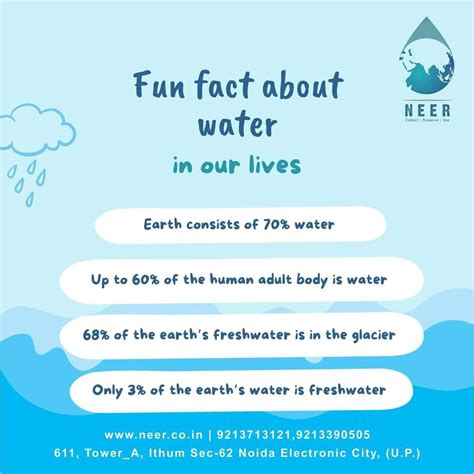 Fun Water Facts: Earth's Essential Resource