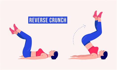 Exercice REVERSE CRUNCH Femme entraînement fitness aérobie et exercices ...