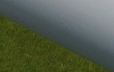 YOLO Annotated Wind Turbine Surface Damage - Dataset Ninja