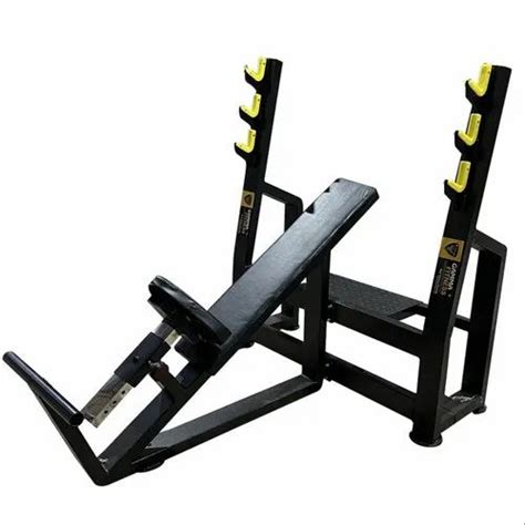 Gym Equipment - Preacher Curl Bicepes Machine Manufacturer from Jalandhar