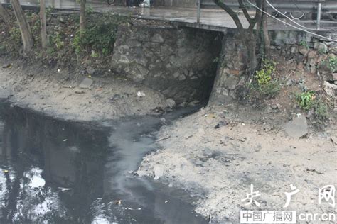 温州黑臭河水排入瓯江 环保部门回应：自净能力强_央广网