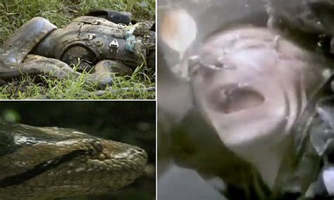 Giant Snakes Eating People