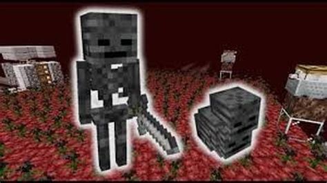 Wither Skeleton Farm 1.17 Java 的图像结果