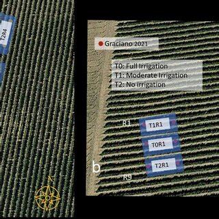 Image result for Randomized Block Design AP Stats