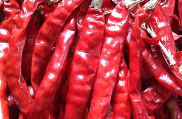 Ramnad Mundu/Gundu (S9) Chilli